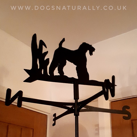 Airedale Terrier Weather Vane